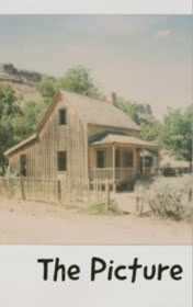 Coperta: The Picture