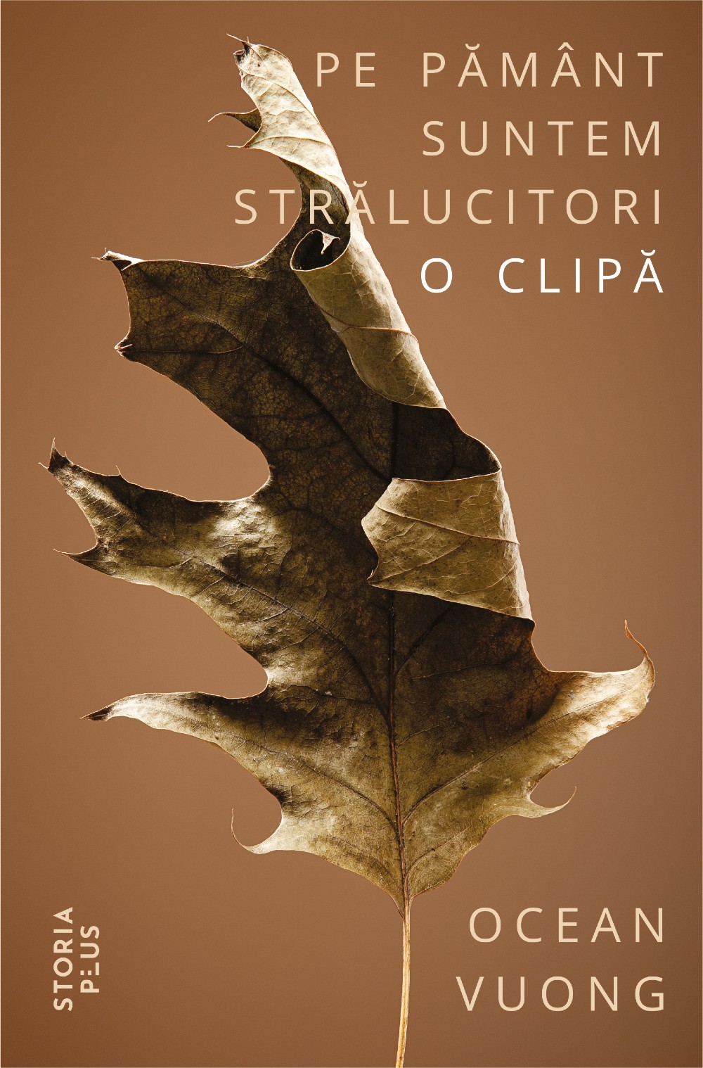 Coperta: Pe Pamant suntem stralucitori o clipa