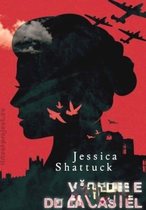 Coperta: Văduvele De La Castel