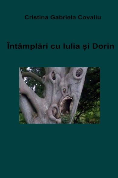 Coperta: Intamplari cu Iulia si Dorin