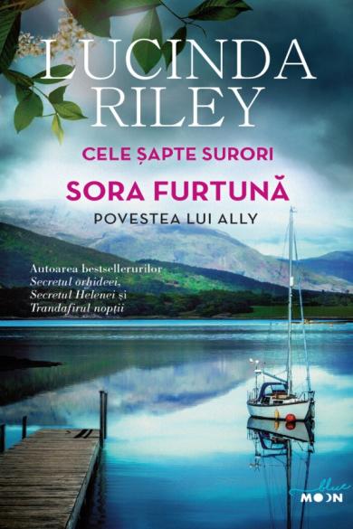 Coperta: Sora furtuna. Povestea lui Ally