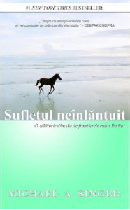 Coperta: Sufletul neînlănțuit