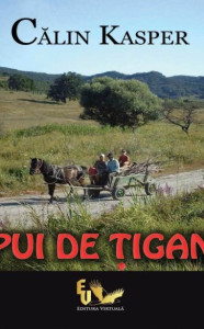Coperta: Pui de tigan