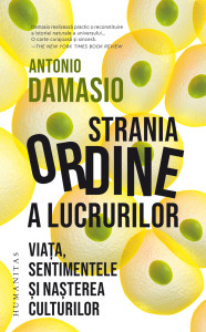 Coperta: Strania ordine a lucrurilor